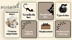 Environnement litière - critères importants
