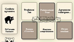 Conduite agressive