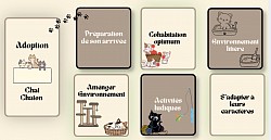 Adoption chat chaton
